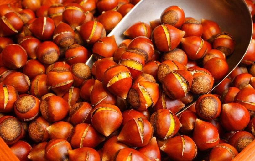 Chinese chestnut