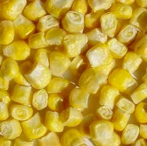 Sweet corn grain