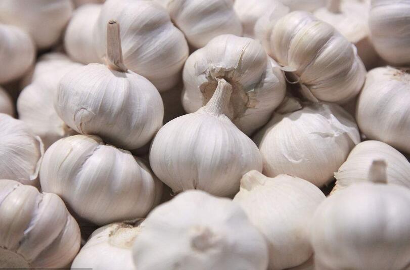 大蒜