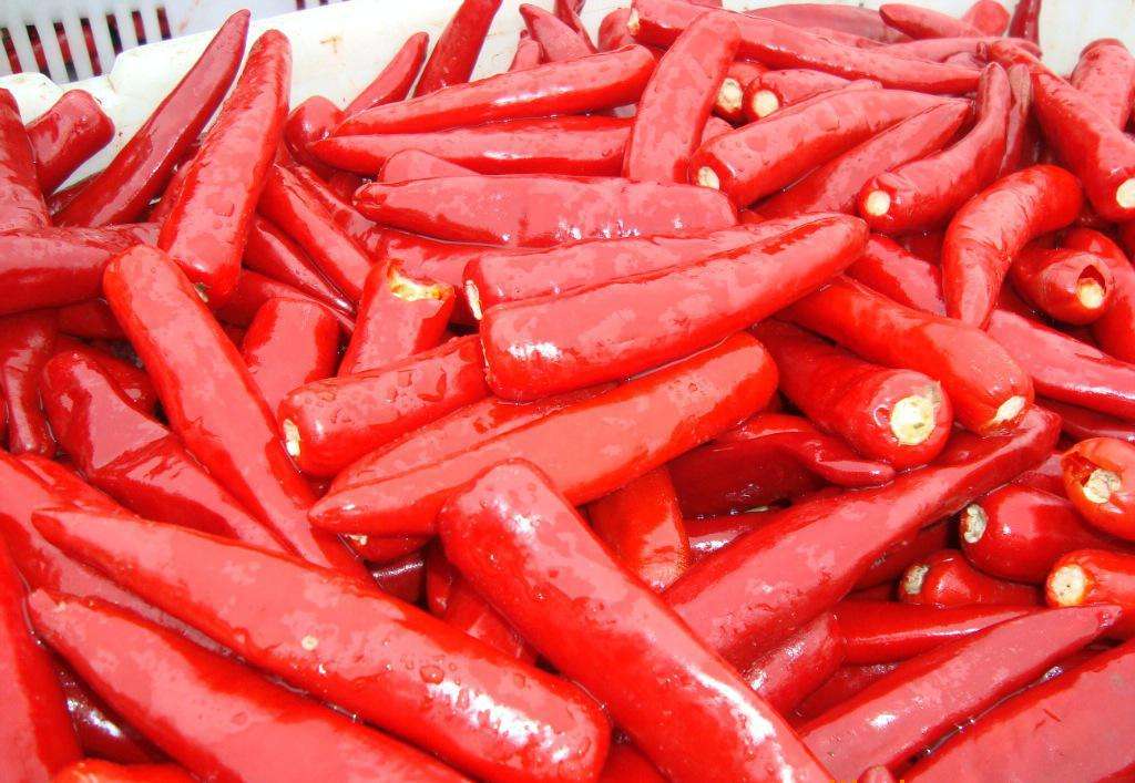 辣椒