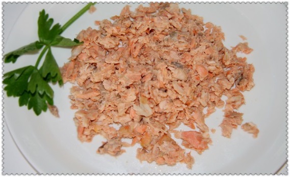 Red fish meat