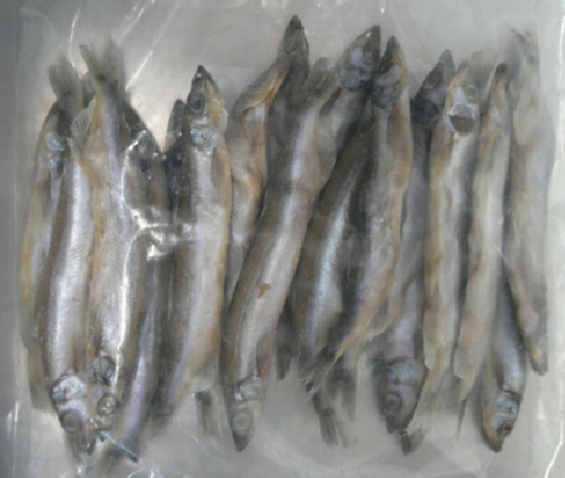 冷凍ししゃも