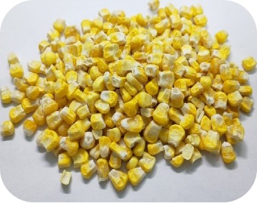 FD スイートコーン