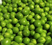 FD グリンピース